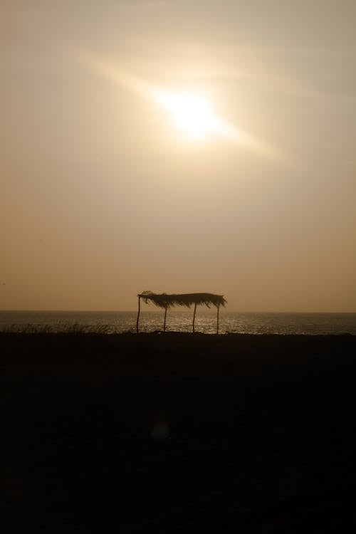 Free stock photo of beach, brightsun, dawn