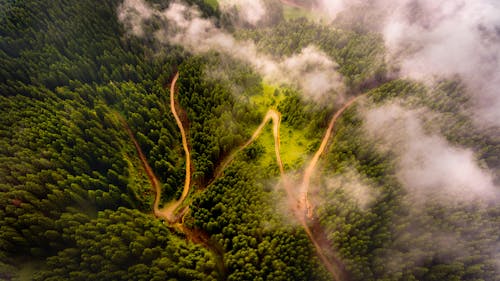 Free Drone view of narrow curvy roadways running between lush green coniferous woodland in cloudy day Stock Photo
