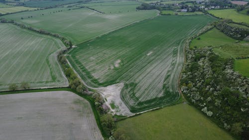 Aerial Photo of Green Grass Field