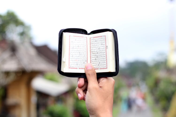 A Person Holding A Booklet