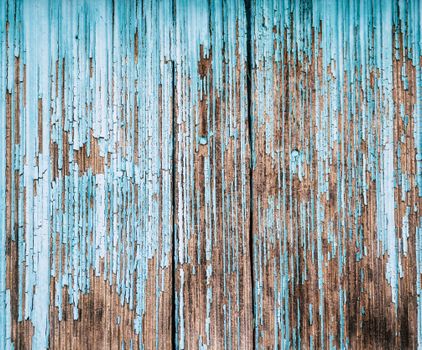 Textured background of wooden wall of house with peeling blue paint in daytime