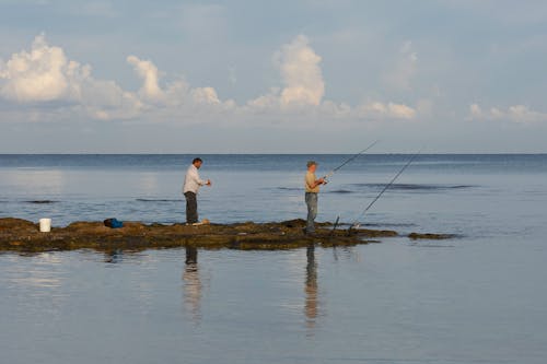 Gratis lagerfoto af blå himmel, fiskere, fiskeri