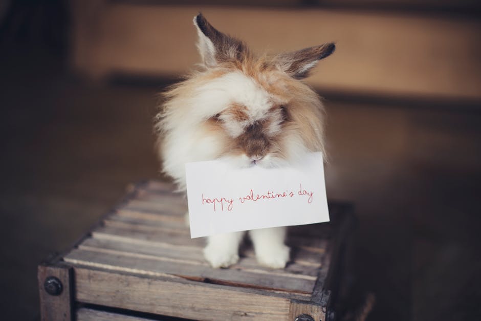 Brown and White Biting a Valentines Day Card