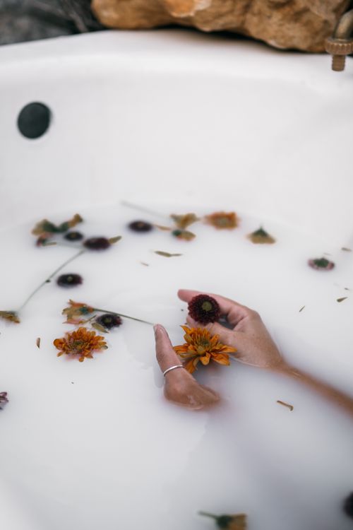 Free Serene scene of hands holding flowers in a milky bath, offering a spa-like tranquility. Stock Photo