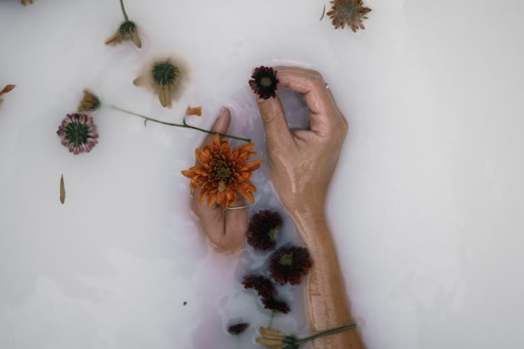 Hands Of A Person Holding Flowers On Milky Water