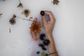Artwork for Releasing Emotions, Embracing Pleasure: Jayna Swan’s 5M Formula for Emotional Regulation and Sexual Health