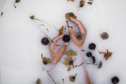 Free Hands gently hold flowers in a soothing milky bath, creating a tranquil and artistic scene. Stock Photo
