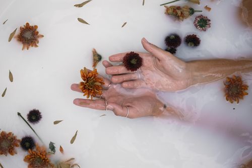 Free A serene top view of hands in a milky bath with floating flowers, evoking calmness. Stock Photo