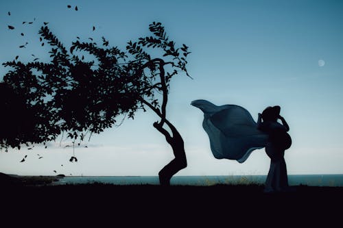 Безкоштовне стокове фото на тему «вагітна жінка, вітряний, дерево» стокове фото