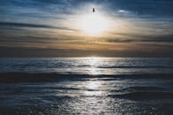 日落时分，海面宁静，阳光明媚的天空映衬出鸟儿的轮廓
