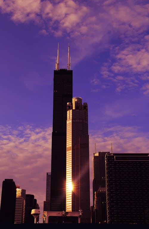 View of the Willis Tower at Sunset, Chicago, Illinois, United States