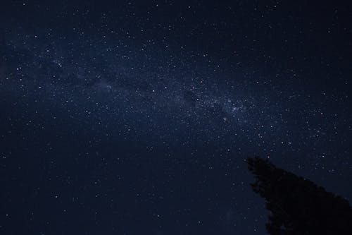 Безкоштовне стокове фото на тему «Астрофотографія, дерево в темряві, зірки»
