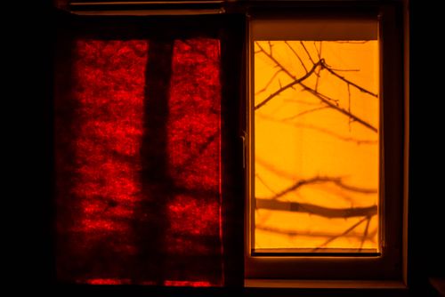 Free A creative depiction of shadows on a closed window with vibrant red and orange hues. Stock Photo