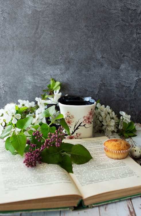 Cake and Plants on Book