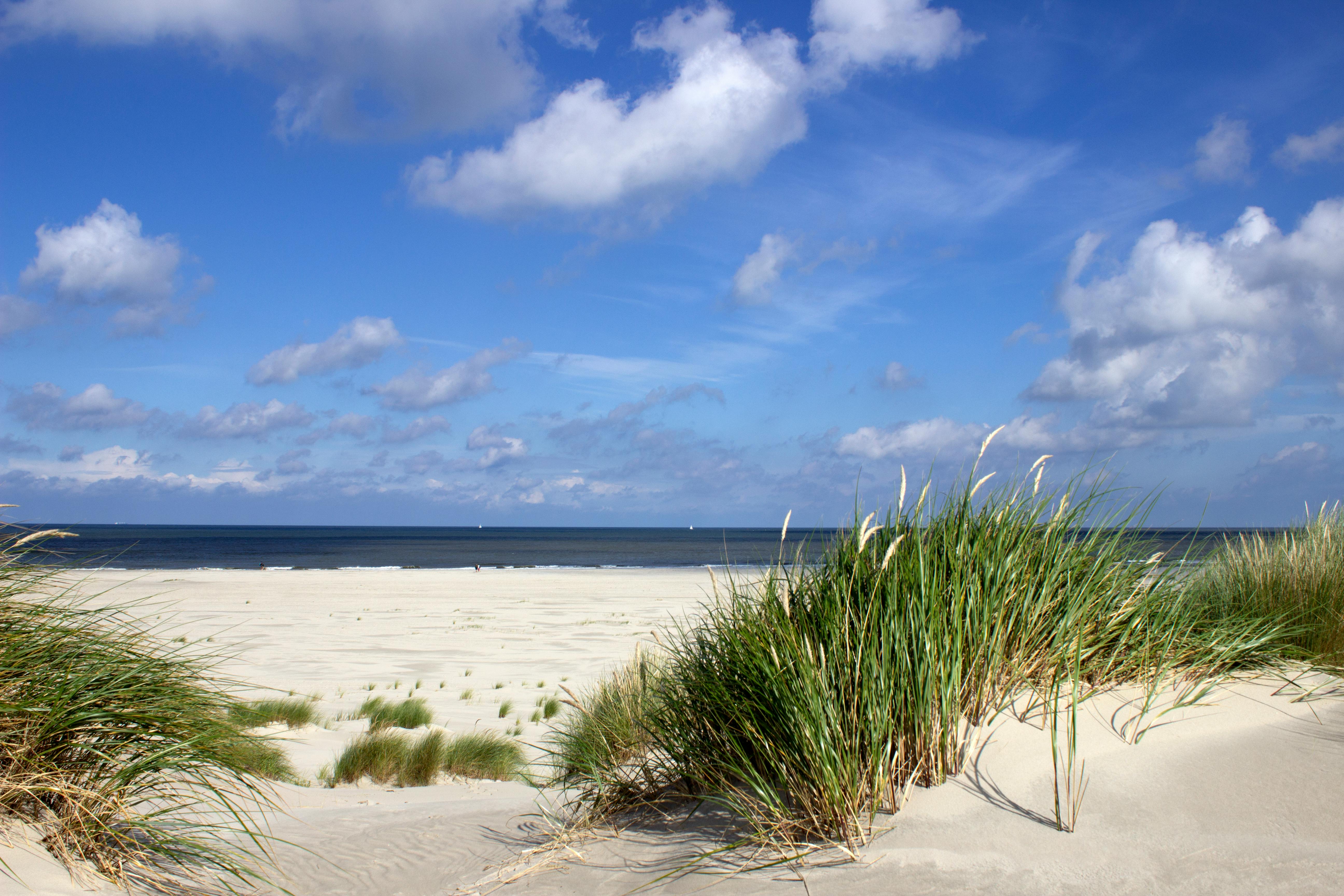 Kostenloses Foto zum Thema: blau, düne, meer
