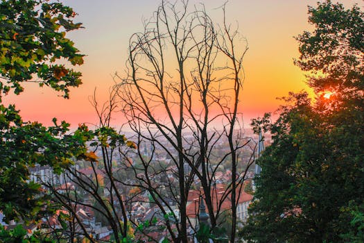 Breathtaking view of Ljubljana, Slovenia, through silhouetted trees at sunset.