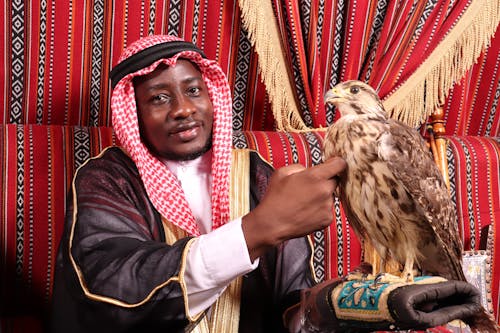 Free Man Wearing Keffiyeh Touching a Bird Stock Photo