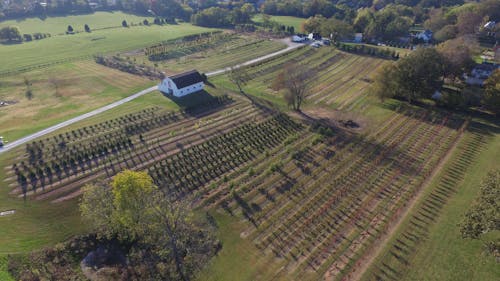 Imagine de stoc gratuită din agricultură, câmp, casă la fermă