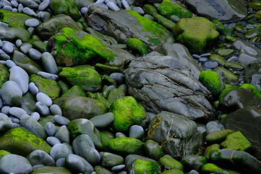 Close-up of moss-covered stones on a rocky shore in Ireland, showcasing natural texture.