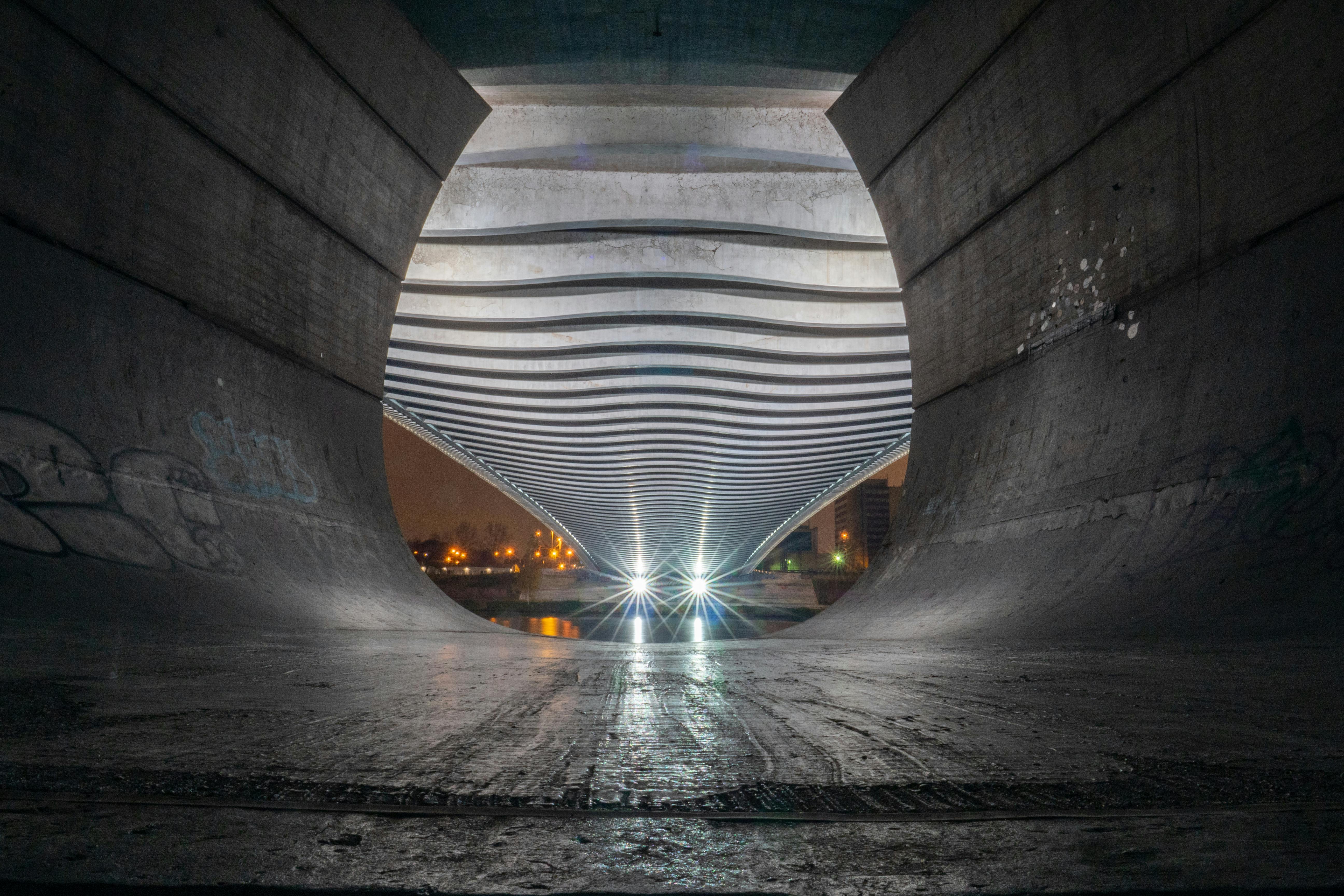 Illustration of a brain with highlighted stress pathways