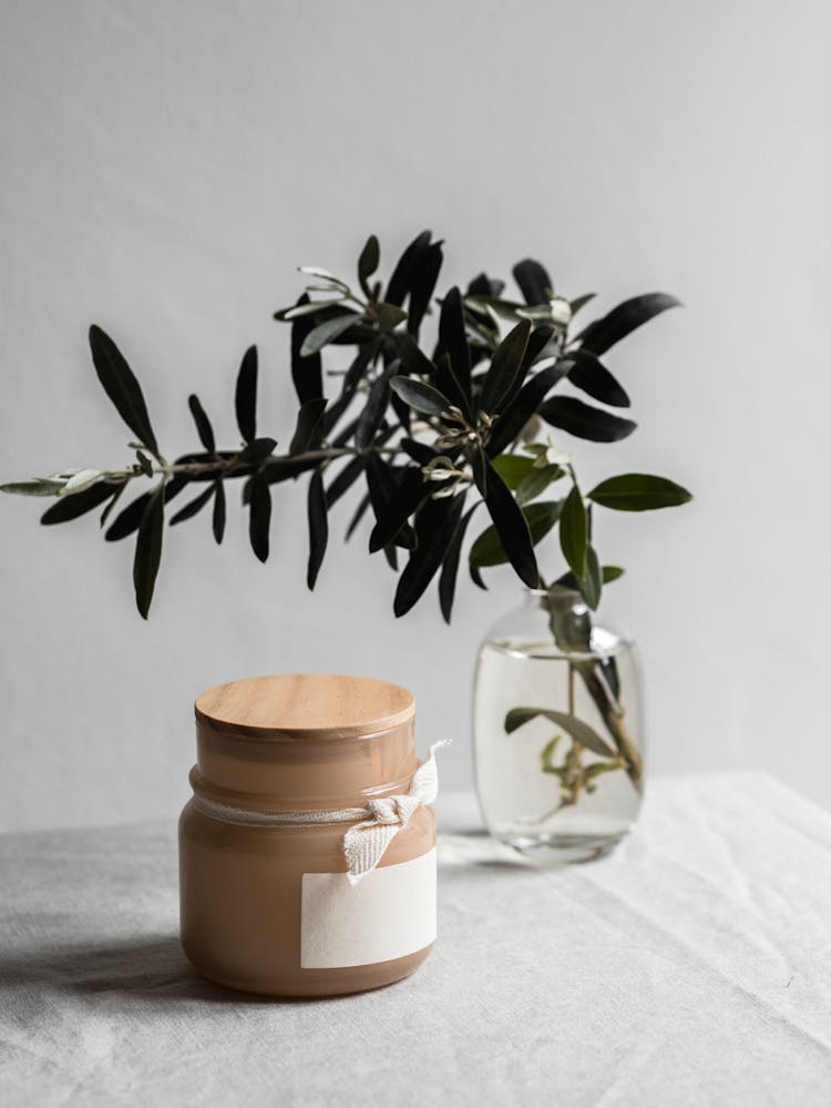 Green Plant In Clear Glass Vase Beside A Jar With Wooden Lid