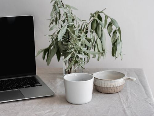 Free A serene minimalist desk setup featuring a laptop, plant, and ceramic accessories. Stock Photo
