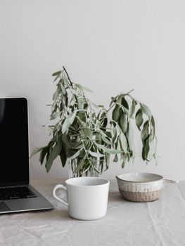 A minimalist desk arrangement featuring a laptop, white mug, and a potted plant in a serene setting.
