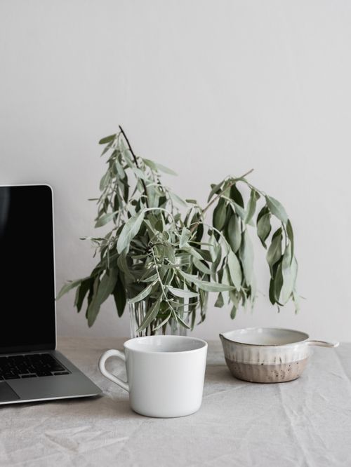 Free A minimalist desk arrangement featuring a laptop, white mug, and a potted plant in a serene setting. Stock Photo