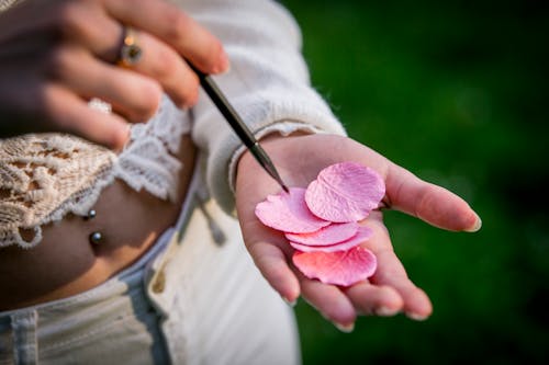 A Close-Up Shot of a Person Holding Pink Petals and a Paint Brush