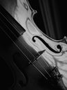 Grayscale Photo of a Violin