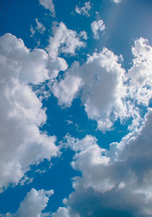 Základová fotografie zdarma na téma atmosféra, bílé mraky, modrá obloha