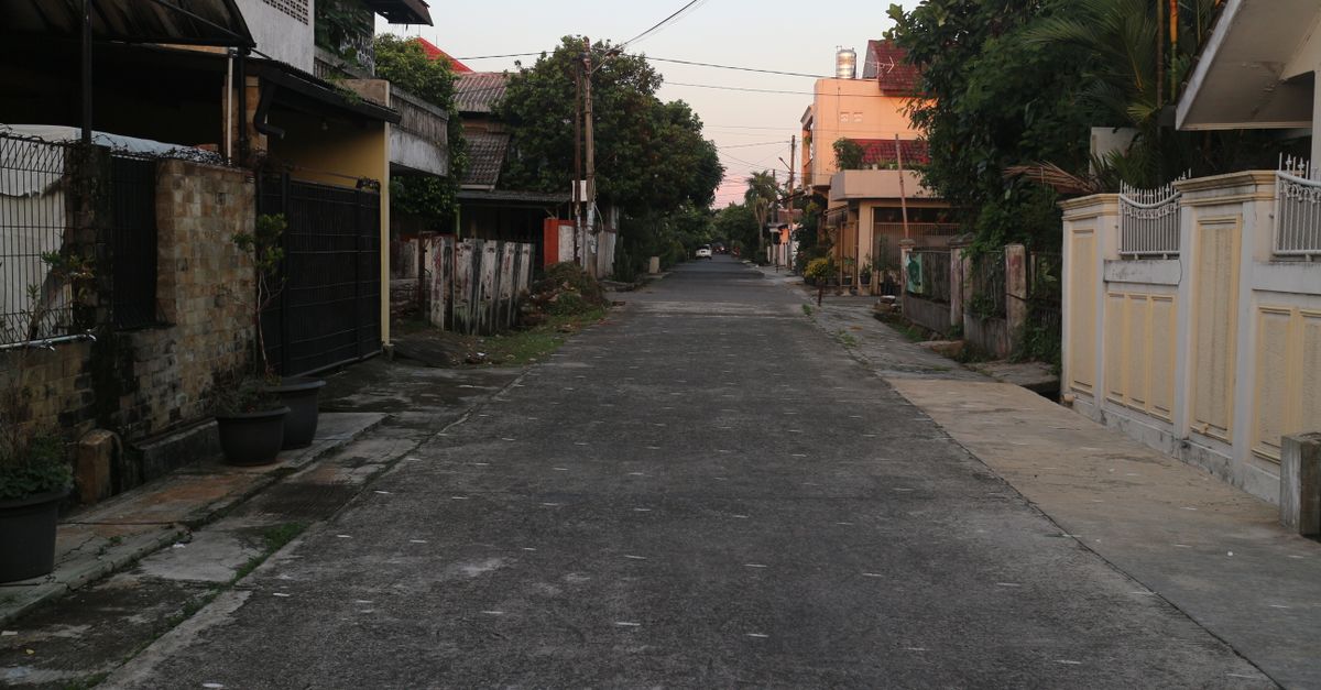 Empty residential street lined with houses and trees at dusk, offering a serene urban scene.