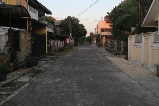 Empty residential street lined with houses and trees at dusk, offering a serene urban scene.