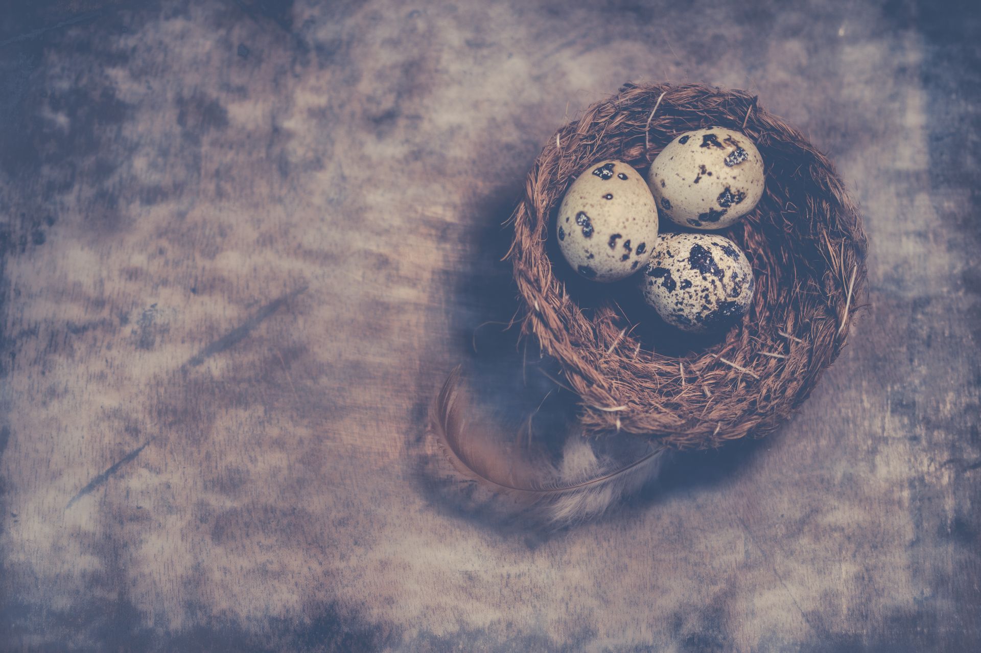 Artistic close-up of quail eggs in a textured nest on a rustic surface.