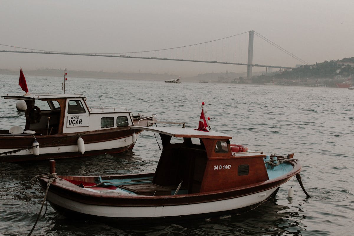 A small bowl of mushroom powder beside a hot beverage and scattered coffee beans