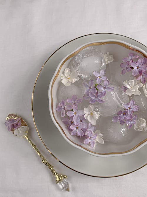 Free Bowl with Ice and Lilac Flowers Stock Photo