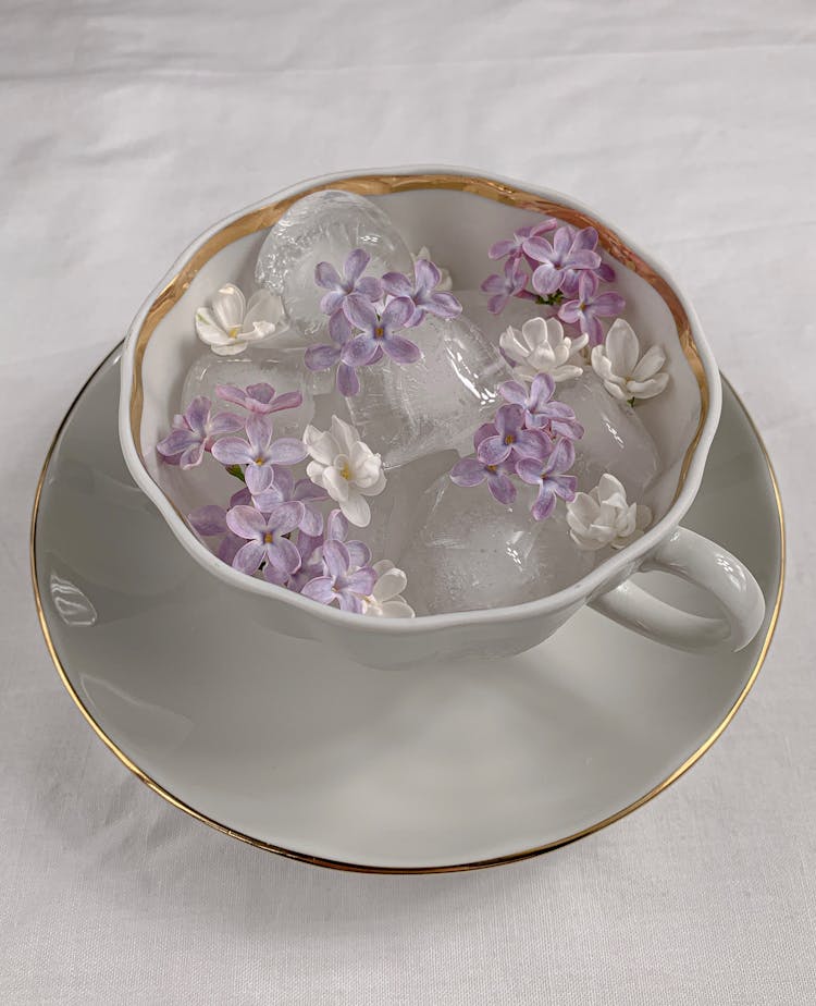 Flowers Petals And Ice In Cup