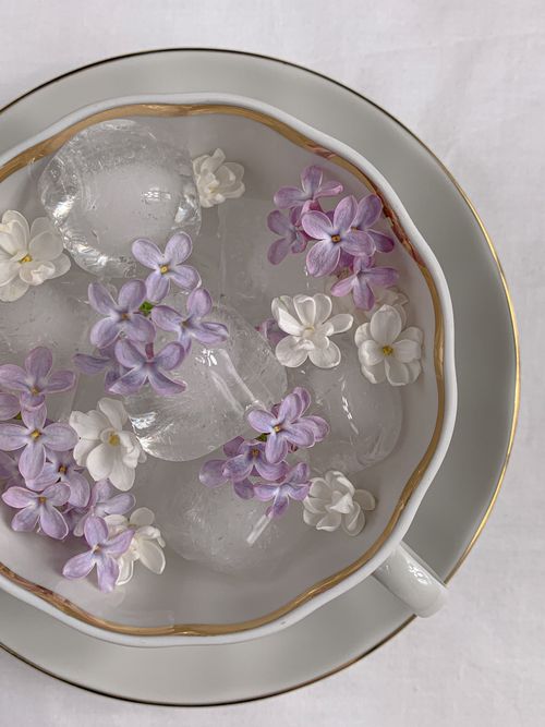 Free Elegant arrangement of lilac and white flowers with ice cubes in a ceramic cup. Stock Photo