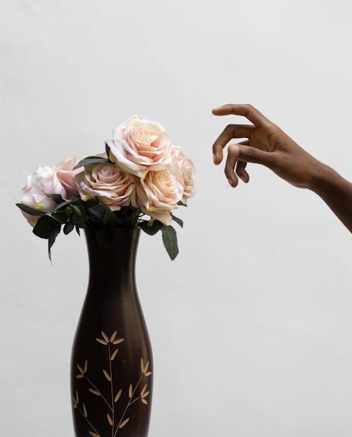 Crop black person and fresh roses in vase
