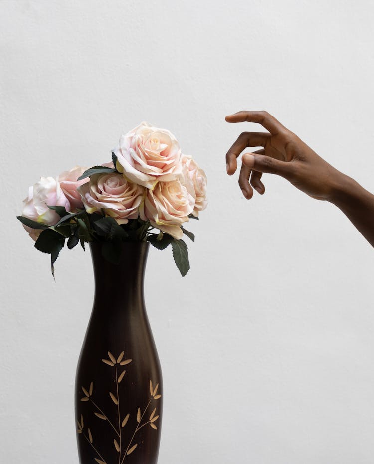 Crop Black Person And Fresh Roses In Vase