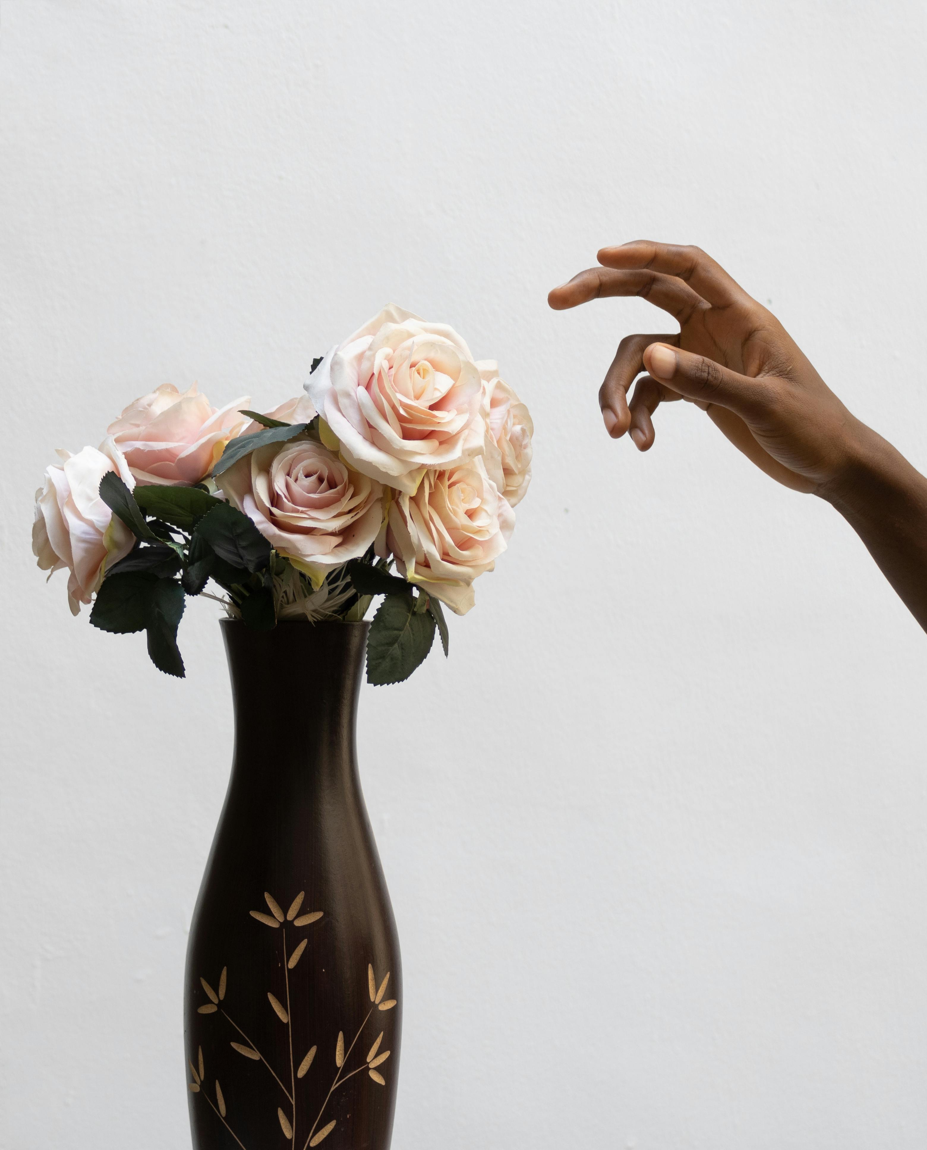 Crop unrecognizable black person touching bunch of white roses in vase on w white background