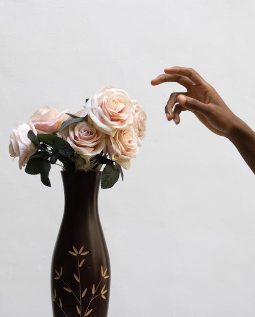 Crop ethnic person with blossoming roses in vase