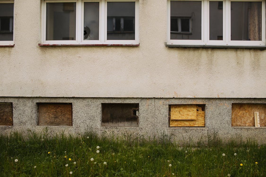 Green Grass Beside the Concrete Wall