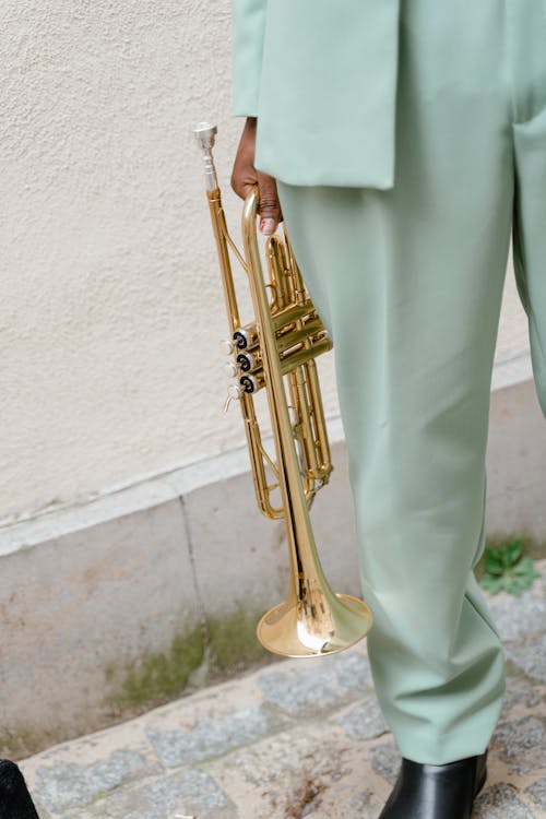 Gratis arkivbilde med bruke, busker, dagtid