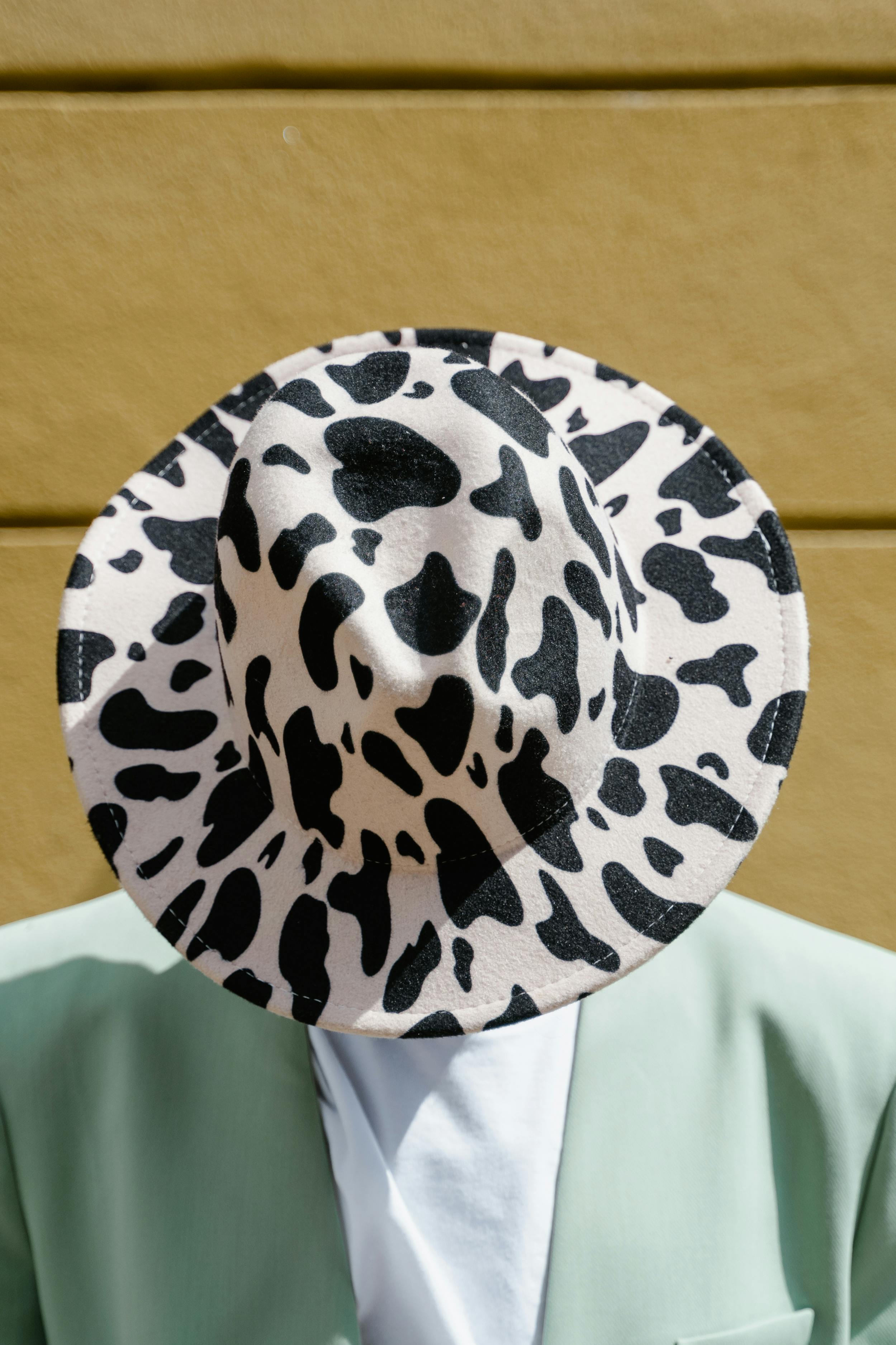 Black and White Fedora Hat · Free Stock Photo