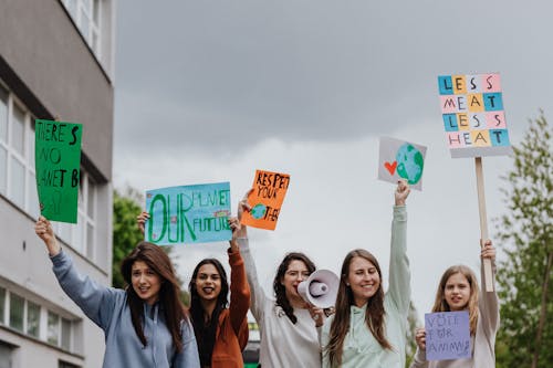 Kostenloses Stock Foto zu aktivismus, demonstranten, festhalten