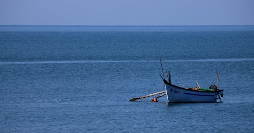 Foto stok gratis goa, India, kapal