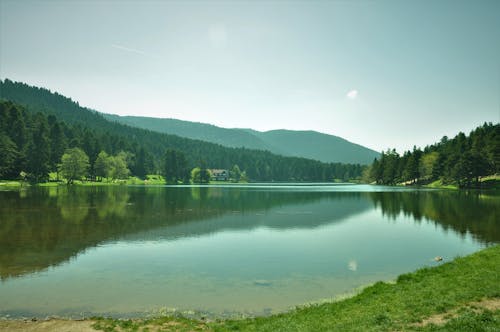 Scenic View of a Placid Lake 