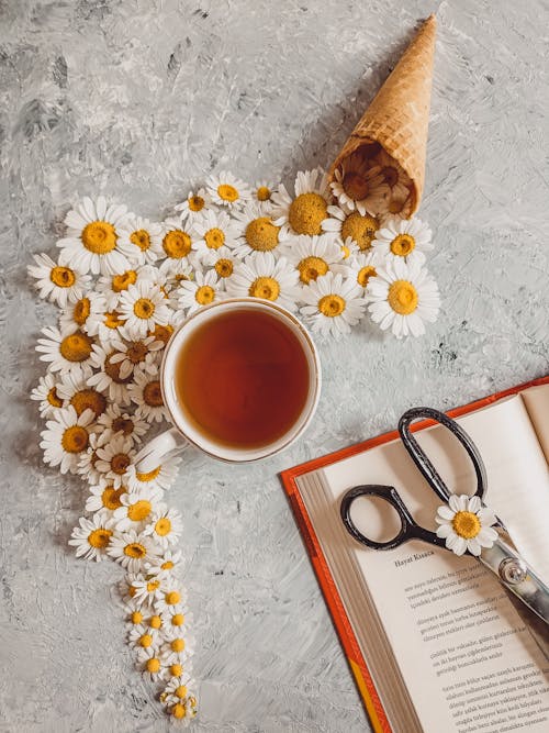 A Cup of Tea Beside White Flowers on Concrete Surface