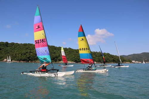 Free Vibrant sailboats racing across the clear blue sea on a sunny day with lush green hills in the background. Stock Photo